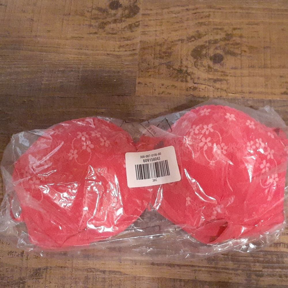 Hollister Bra 36B